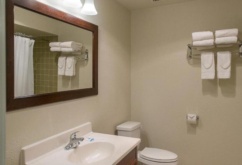 스탠다드 룸, Rodeway Inn & Suites Portland   Jantzen Beach