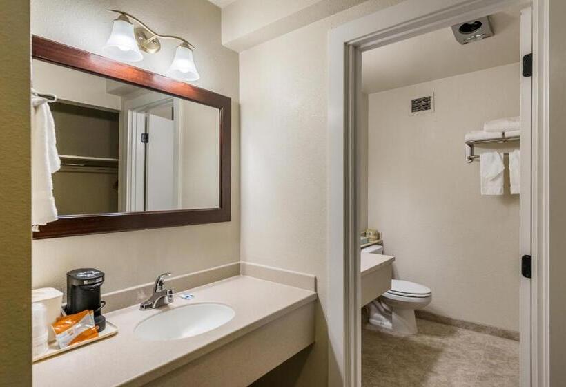 스탠다드 룸 킹사이즈 침대, Rodeway Inn & Suites Portland   Jantzen Beach