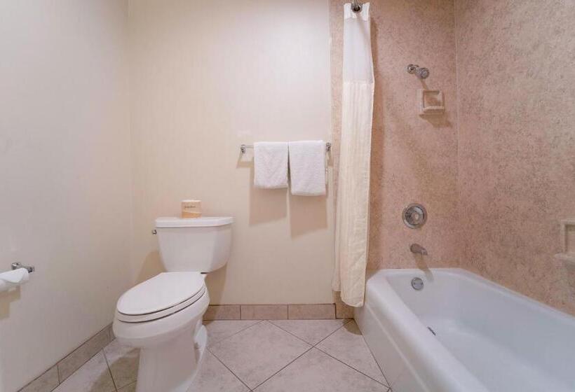 Quarto Estandar 2 Camas Casal, Royal Plaza Inn