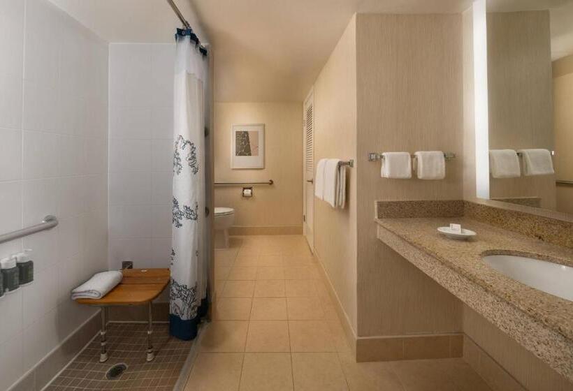 带2个卧室的套房, Residence Inn Seattle South/tukwila