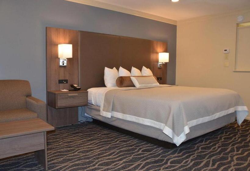 חדר אקזקיוטיב חדר קינג, Best Western Plus Hill House