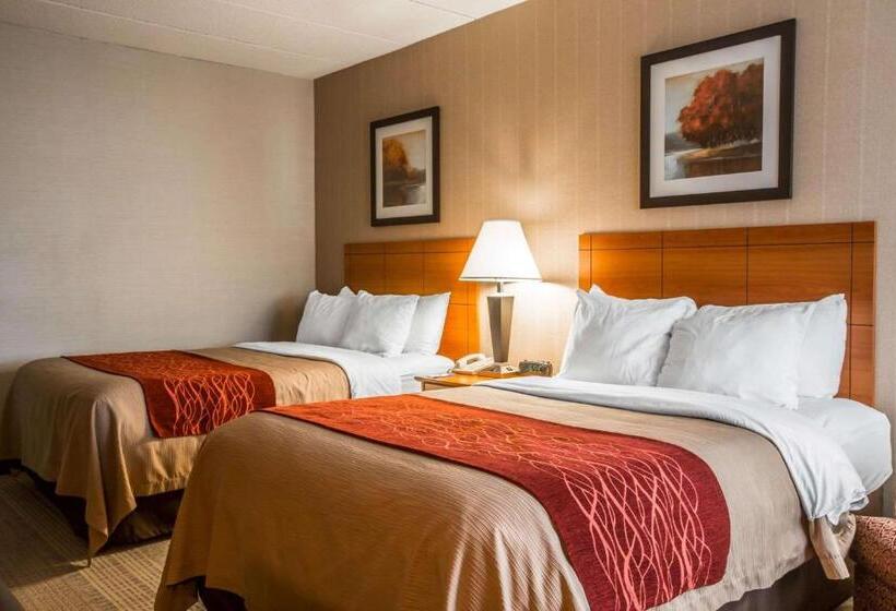 스탠다드 룸 더블 침대 2개, Comfort Inn