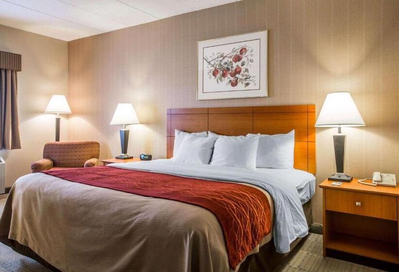 스탠다드 룸 킹사이즈 침대, Comfort Inn