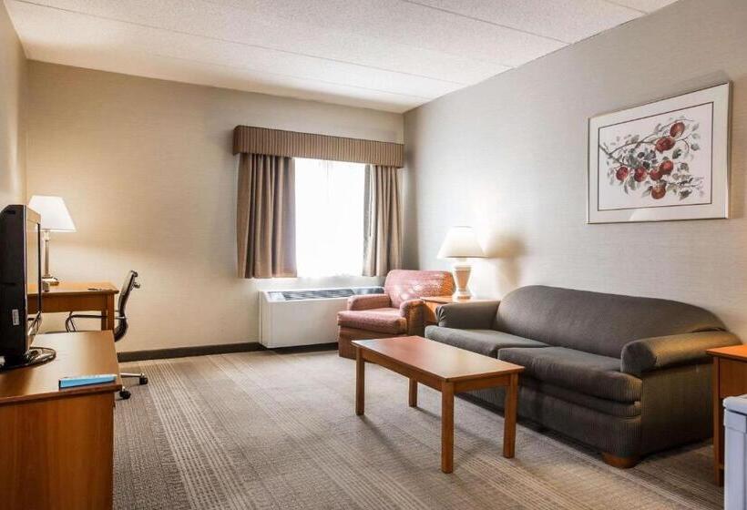 스위트, Comfort Inn