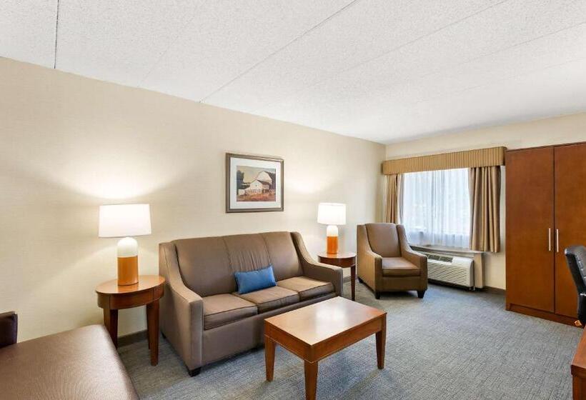 스위트, Comfort Inn