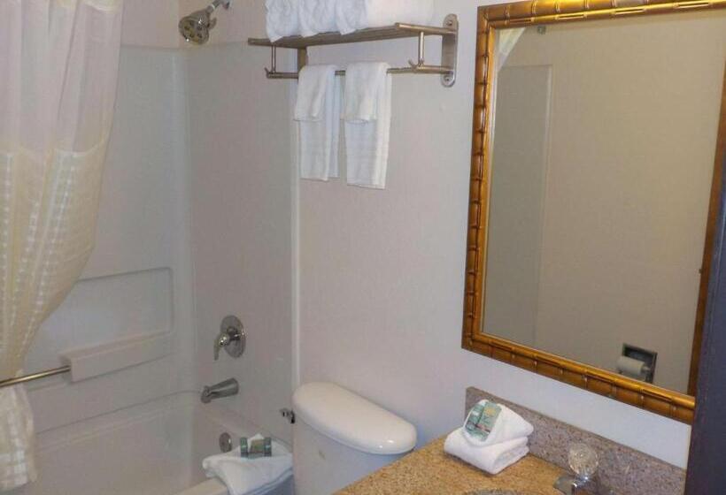 标准间, Economy 7 Inn   Norfolk
