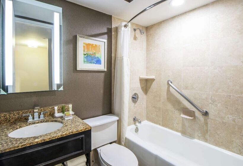 Номер Стандарт 2 Двуспальные Кровати, Hilton St. Petersburg Bayfront