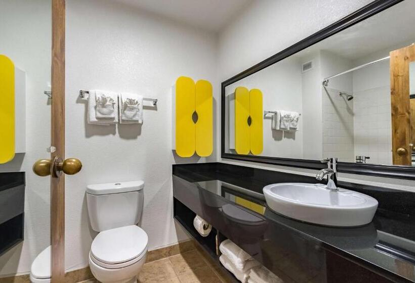 带大床的豪华间, Quality Inn & Suites Plano East   Richardson
