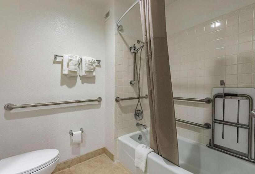 适合残疾人士使用的带超级大床的标准间, Quality Inn & Suites Plano East   Richardson