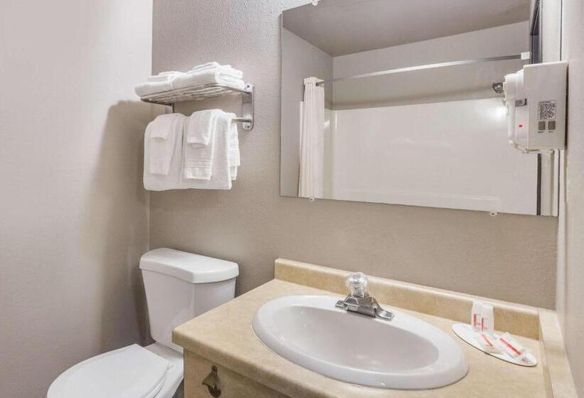 Стандартный Номер Кровать Кинг, Super 8 By Wyndham Green Bay Near Stadium