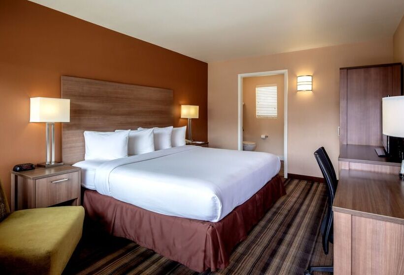 Полулюкс, Boulder University Inn