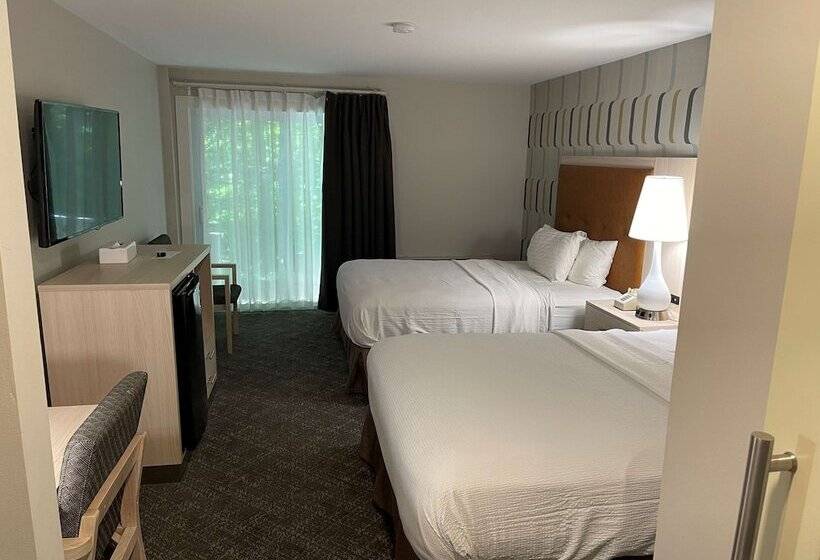 带2个双人床的标准工作室, Woodwards White Mountain Resort Bw Signature Collection