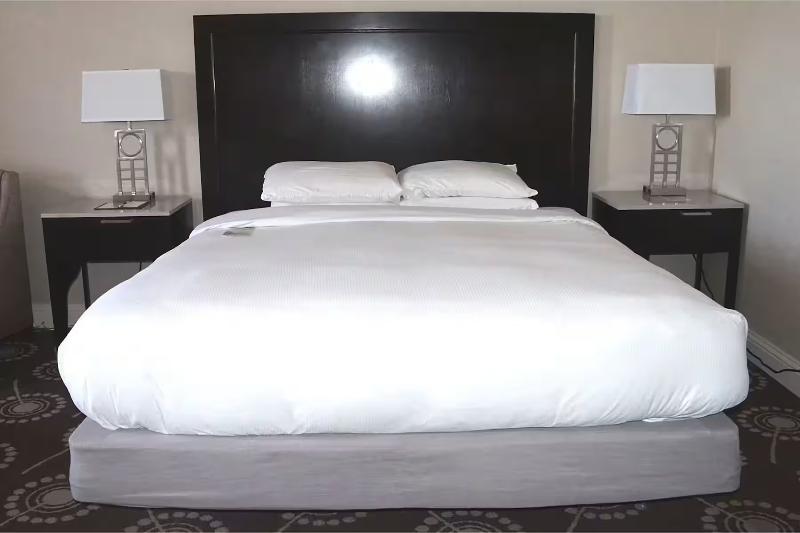 Standard Room King Bed Adapted for people with reduced mobility, Wyndham Midland Downtown