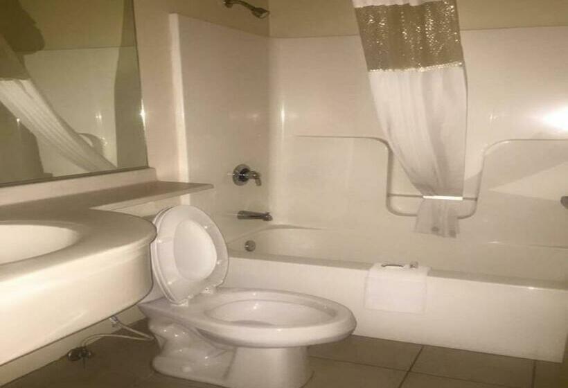 スタンダードルーム, Microtel Inn & Suites By Wyndham Quincy Downtown   River Area