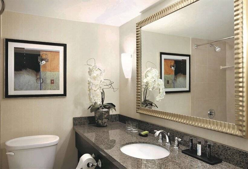 프리미엄 스위트, Embassy Suites Hotel Denver Tech Center
