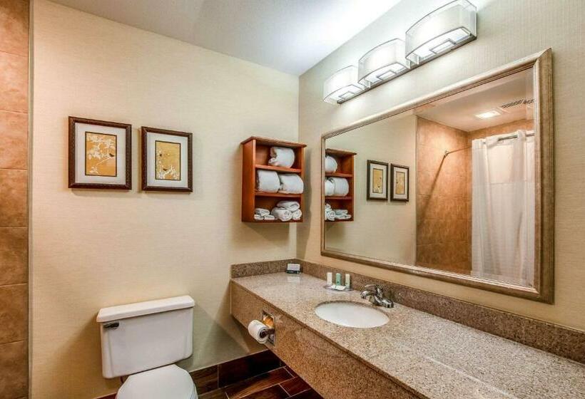 Номер Стандарт, Country Inn & Suites By Radisson, Muskegon, Mi