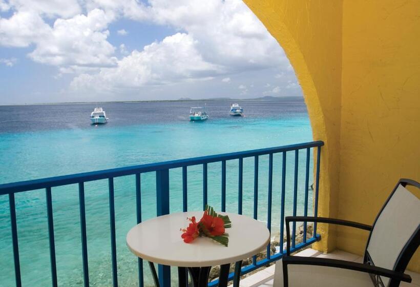 标准间, Divi Flamingo Beach Resort