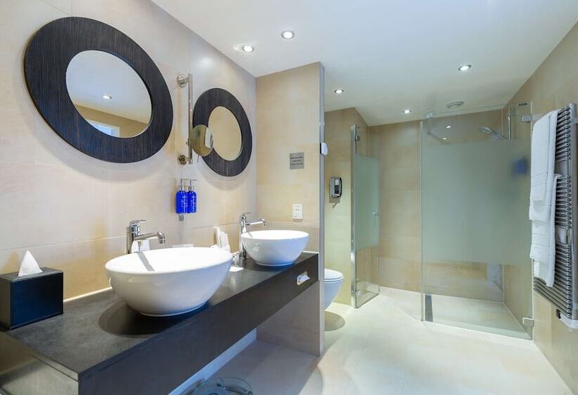 سوئیت با چشم‌انداز, Radisson Blu Hotel, Amsterdam City Center