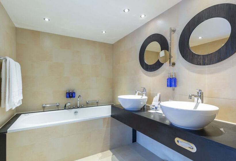 سوئیت با چشم‌انداز, Radisson Blu Hotel, Amsterdam City Center