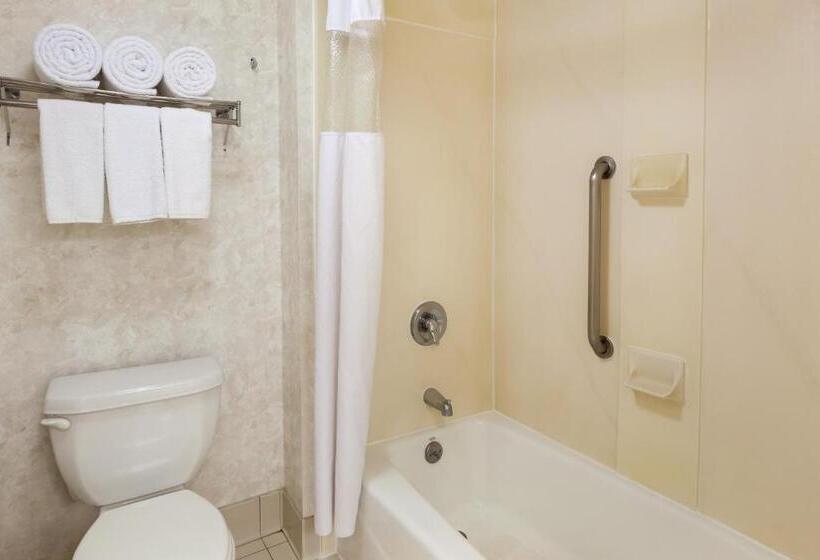 Полулюкс Кровать Кинг, Wyndham Garden Monterrey Norte