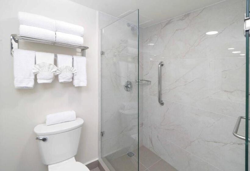 Номер бизнес-класса, Wyndham Garden Monterrey Norte