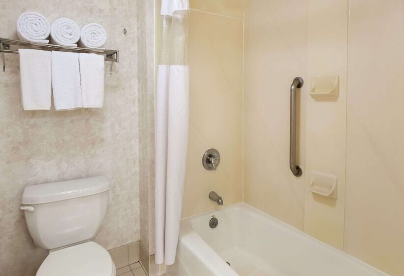 Номер Стандарт 2 Двуспальные Кровати, Wyndham Garden Monterrey Norte