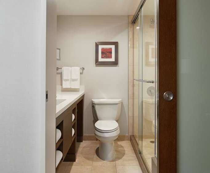 اتاق استاندارد با تخت بزرگ, Doubletree By Hilton Orlando Airport