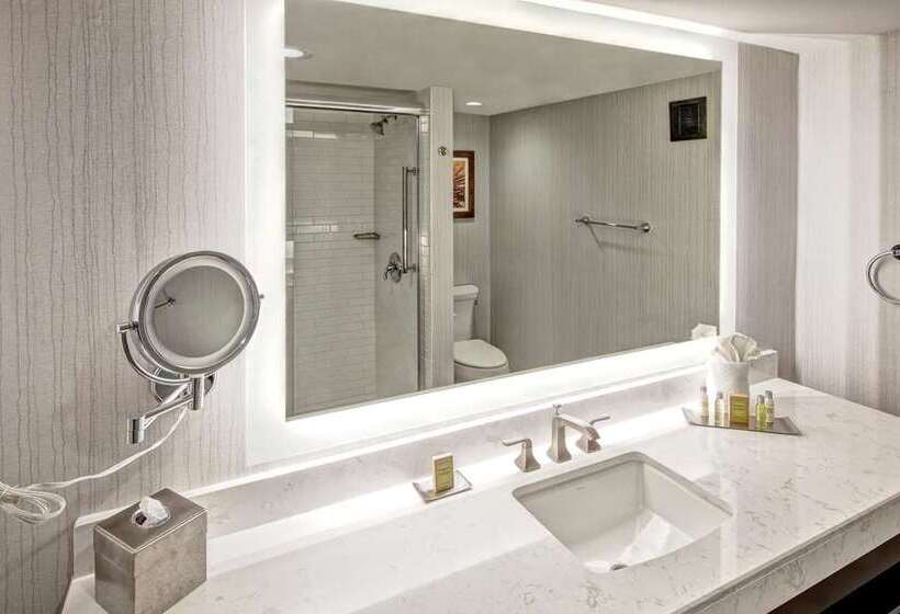 سوئیت جونیور با تخت بزرگ, Doubletree By Hilton Orlando Airport