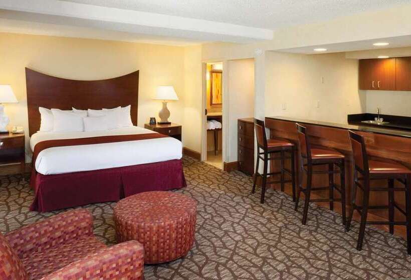 سوئیت جونیور با تخت بزرگ, Doubletree By Hilton Orlando Airport