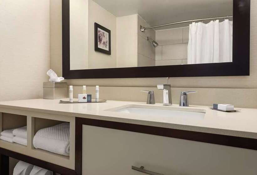 اتاق استاندارد با تخت بزرگ, Doubletree By Hilton Orlando Airport