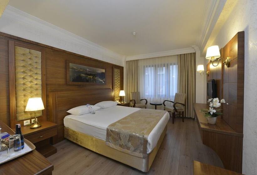 اتاق استاندارد, Yigitalp Istanbul