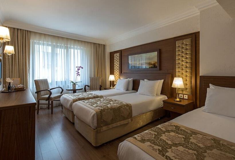 اتاق استاندارد سه نفره, Yigitalp Istanbul