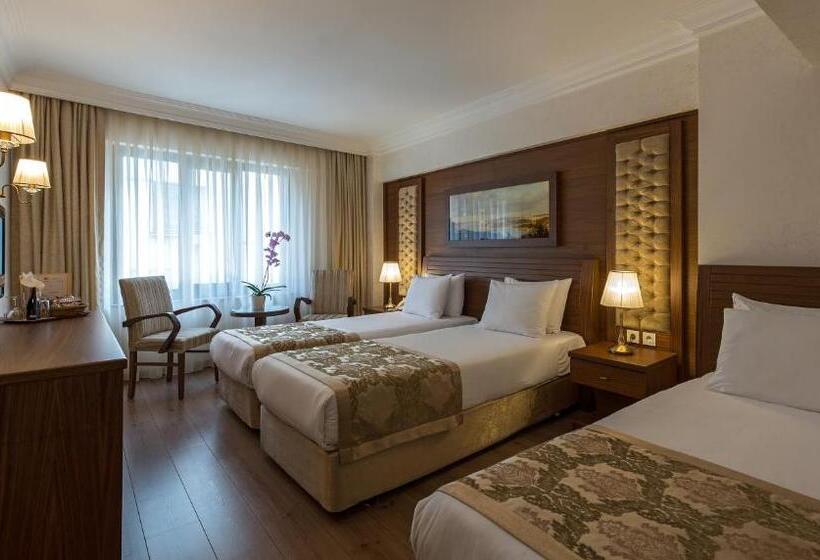 اتاق استاندارد سه نفره, Yigitalp Istanbul