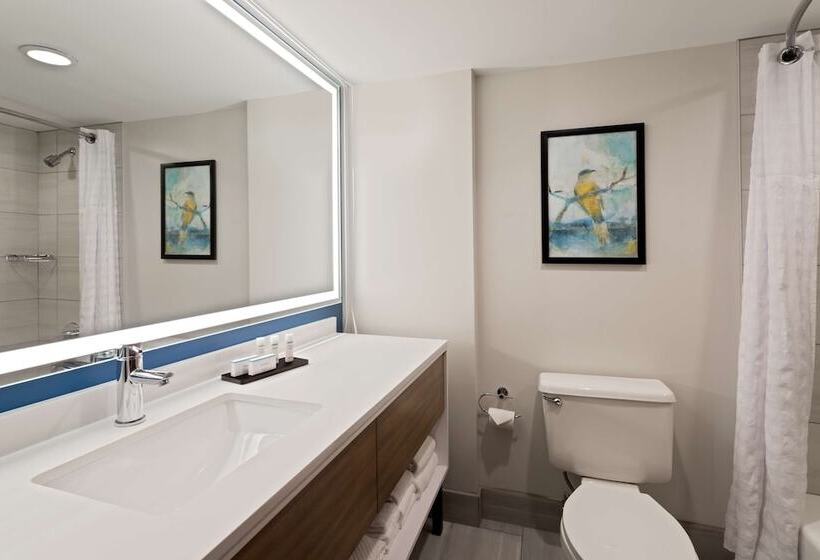 스탠다드 룸 더블 침대, Embassy Suites By Hilton Tampa Usf Near Busch Gardens