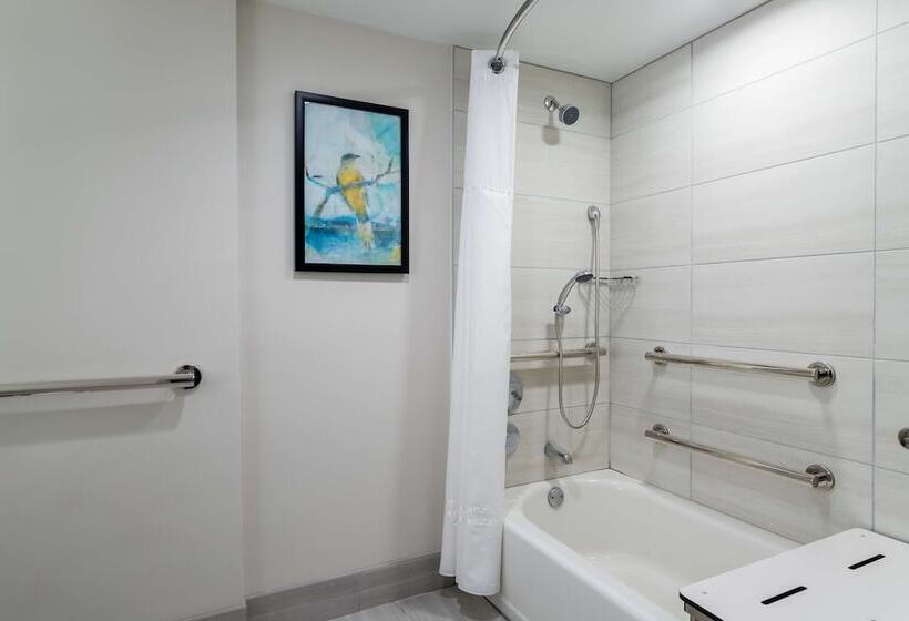장애인을 위한 스탠다드 룸, Embassy Suites By Hilton Tampa Usf Near Busch Gardens