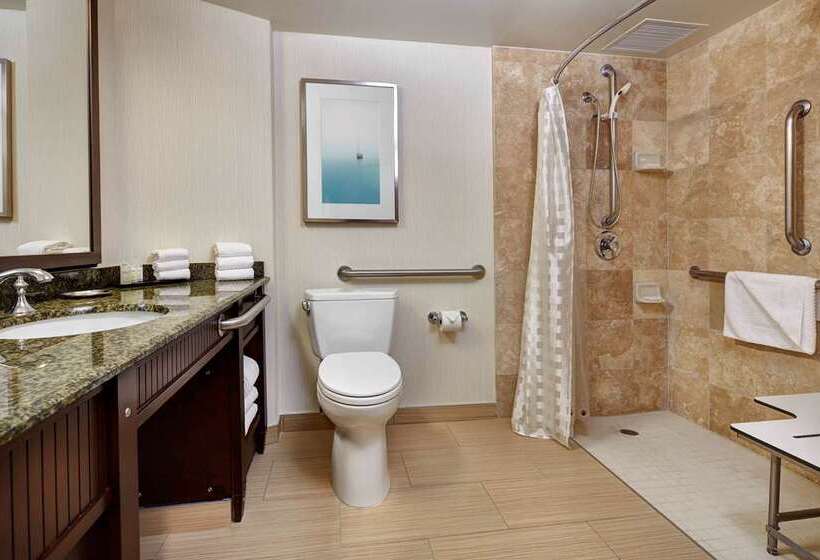 프리미엄 룸, Embassy Suites By Hilton Tampa Usf Near Busch Gardens