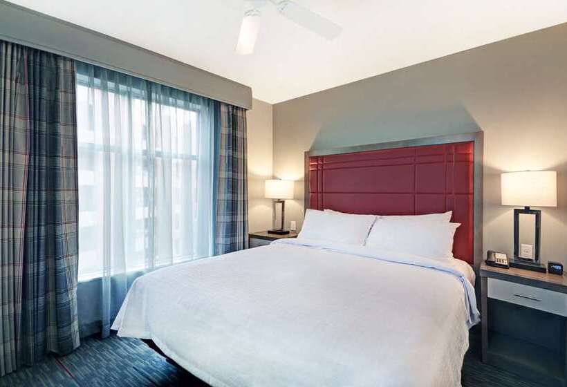 프리미엄 룸, Embassy Suites By Hilton Tampa Usf Near Busch Gardens