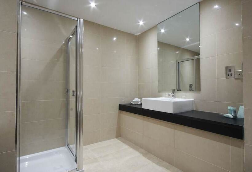 Полулюкс, Rochestown Park Hotel & Leisure Centre