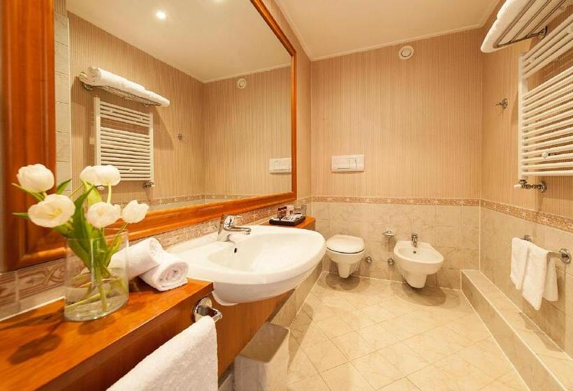 اتاق لوکس, Shg Hotel De La Ville