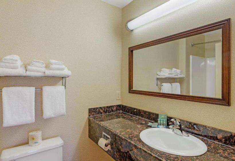Люкс Кровать Квин, Best Western North Roanoke