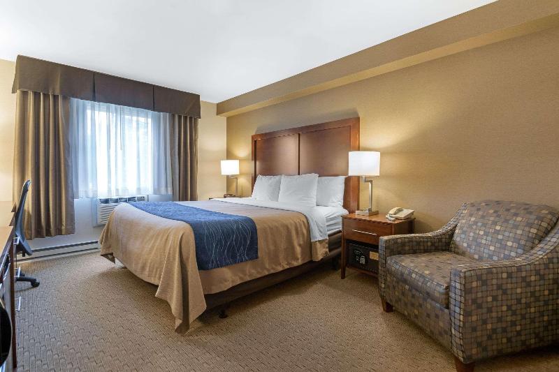 Номер Стандарт, Comfort Inn