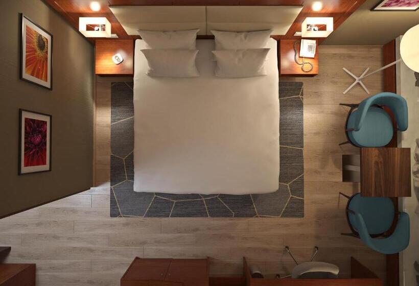 اتاق استاندارد با تخت بزرگ, Crowne Plaza Maastricht, An Ihg