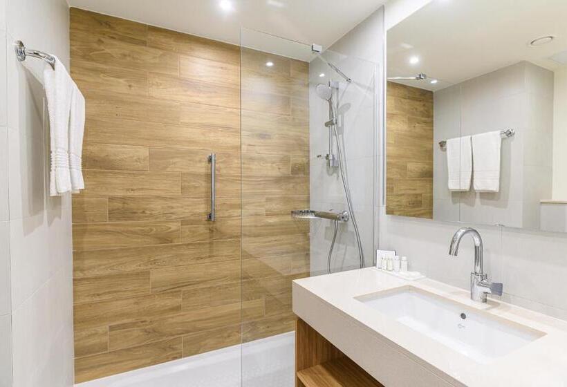 اتاق سوپریور, Crowne Plaza Maastricht, An Ihg