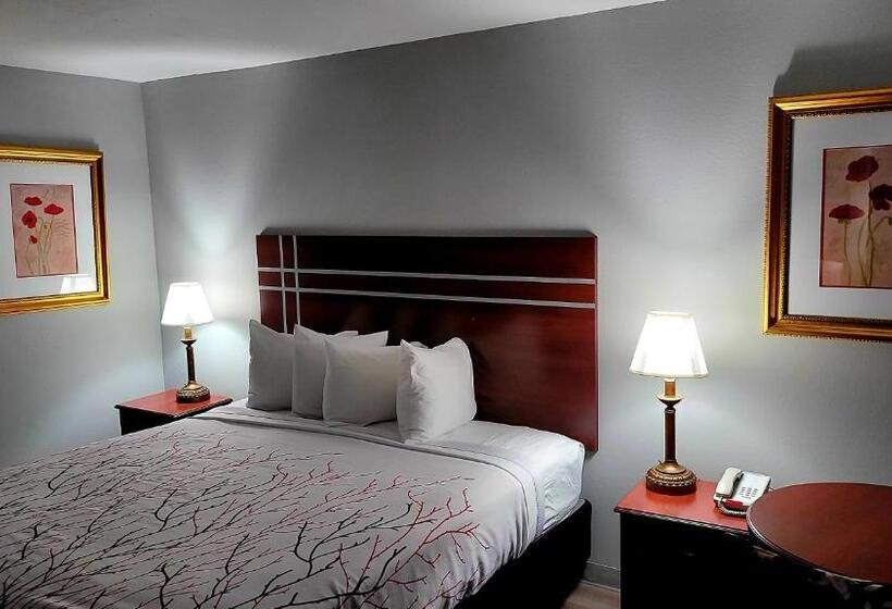 标准单人间, Rancho San Diego Inn & Suites