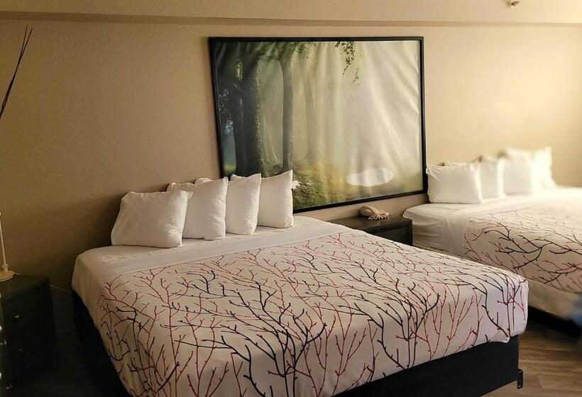 行政套房, Rancho San Diego Inn & Suites