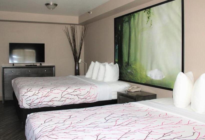 行政套房, Rancho San Diego Inn & Suites