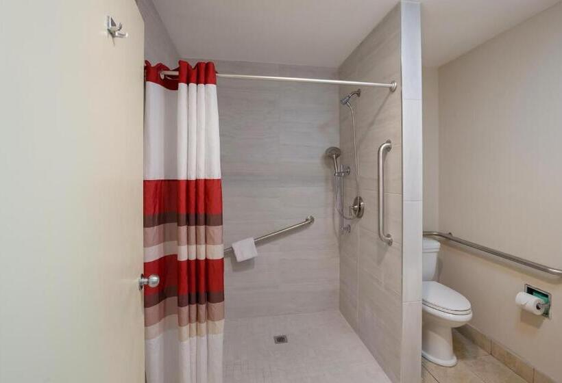 Quarto Superior para Deficientes, Red Roof Inn Dillon, Sc