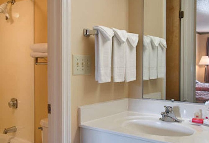 장애인을 위한 수피리어 룸, Red Roof Inn & Suites Cleveland, Tn