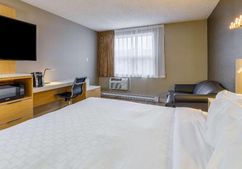 اتاق استاندارد با تخت بزرگ برای معلولان, Clarion Pointe Quebec Airport