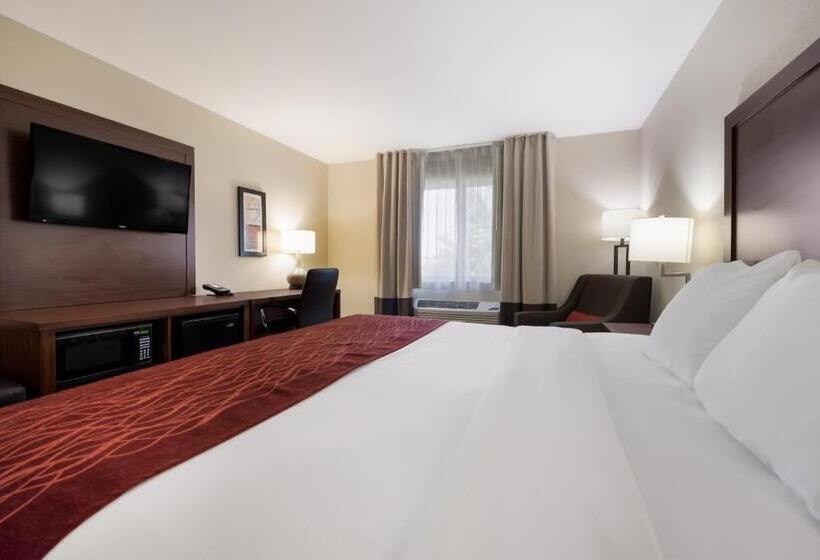 스탠다드 룸 킹사이즈 침대, Comfort Inn Onalaska  La Crosse Area